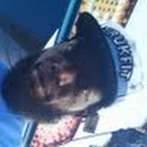 Meet your Posher, Cornell